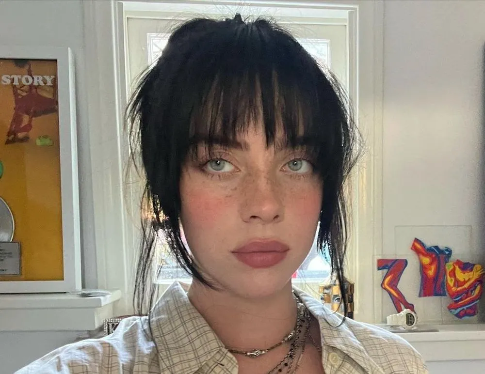 Billie Eilish updates: Finneas O’Connell’s career change, Frank Ocean cover, & “CHIHIRO” views