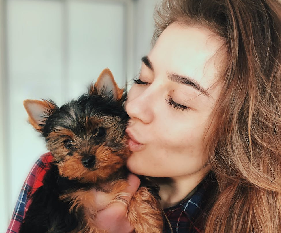 It’s “National Treat Your Pet Day” – Cute ideas for spoiling your fur baby