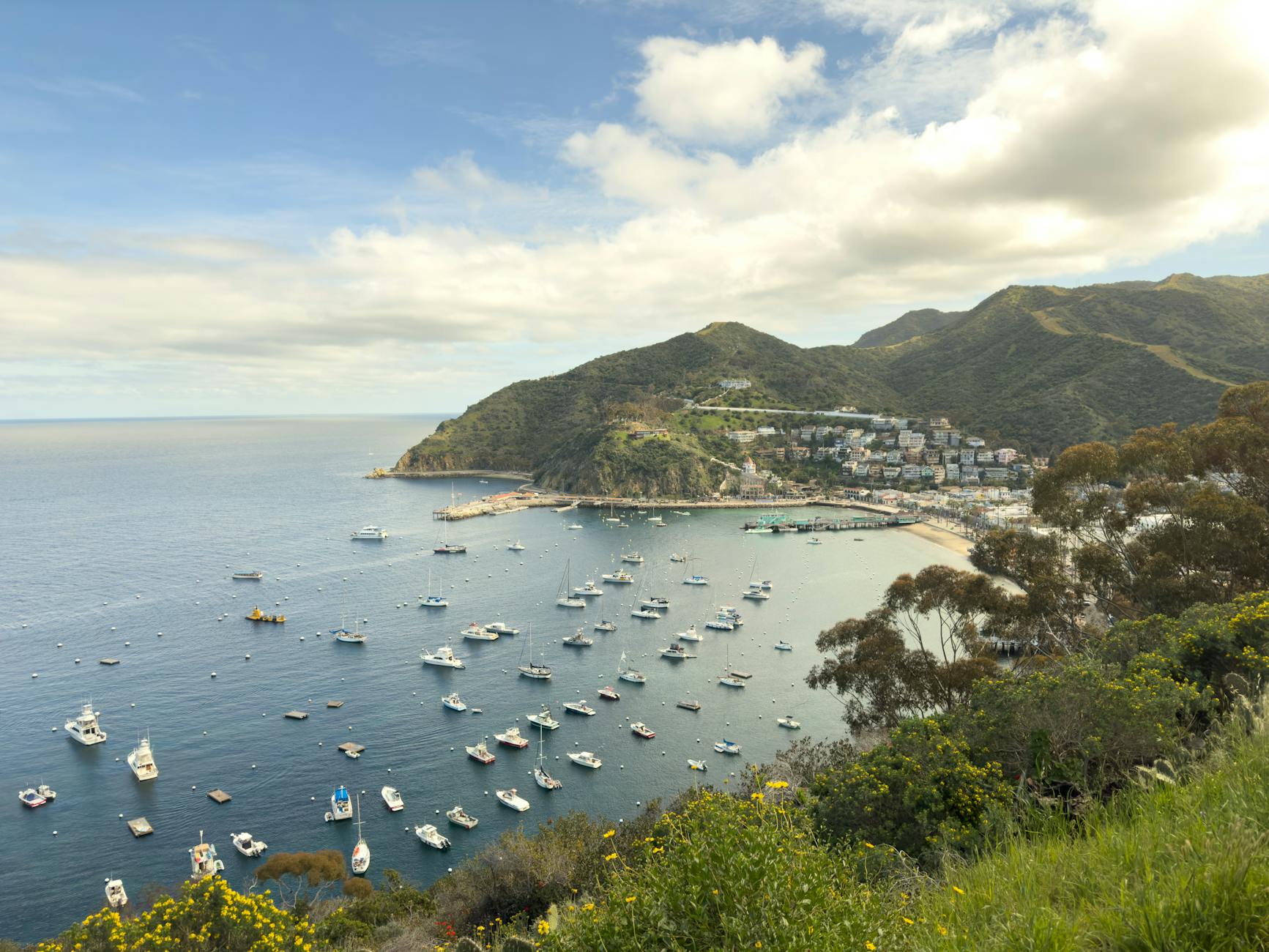 The magical California island that will make you feel like you’re in the Mediterranean