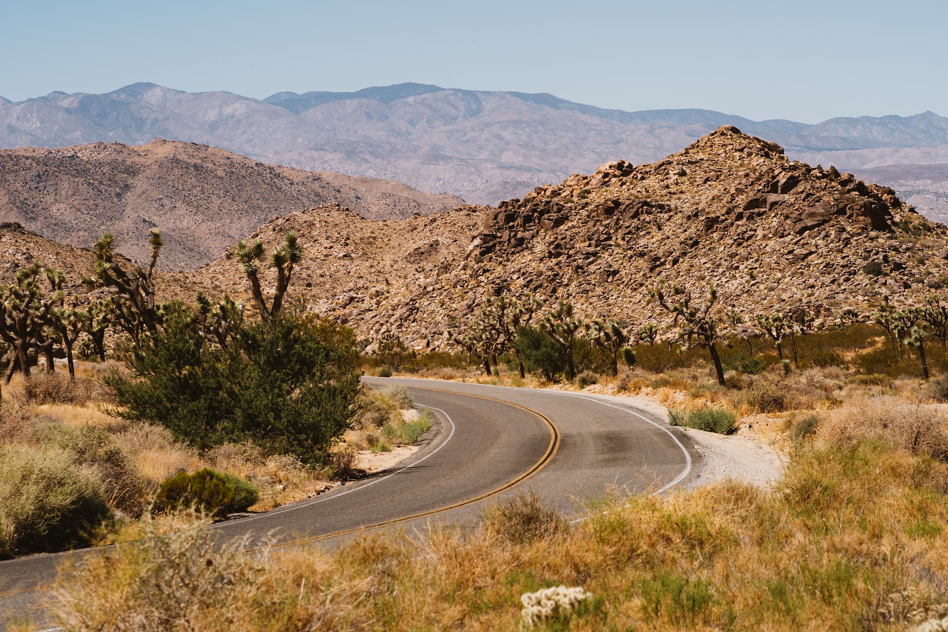 Here’s what a vacation in Joshua Tree is like