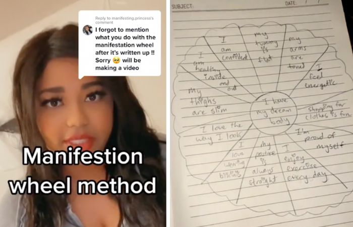 The Manifestation Wheel Method may speed up your dream life goals