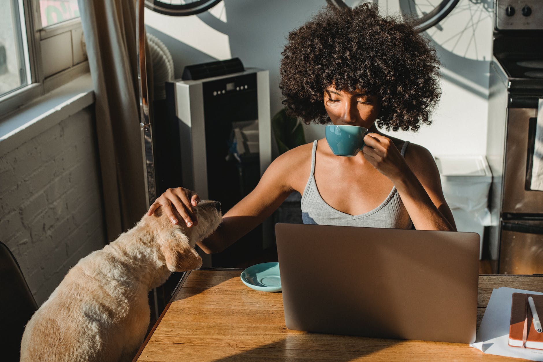 Freelancers belong on the FeedCoyote platform… ASAP