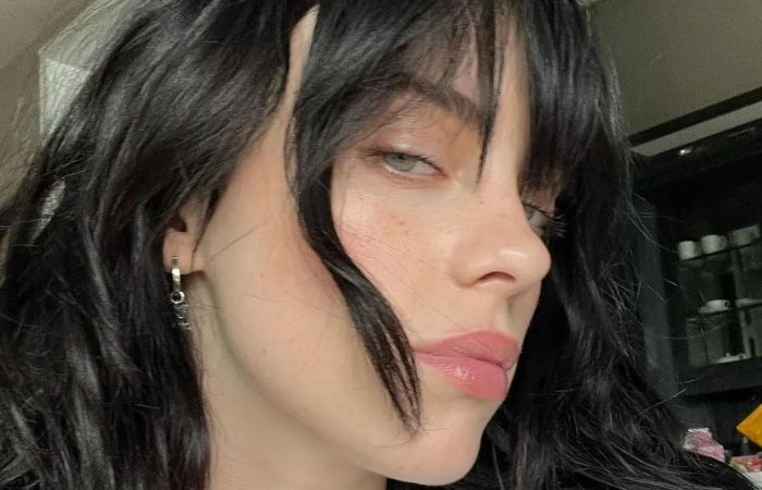 Billie Eilish has Tourettes & other interesting details about the singer