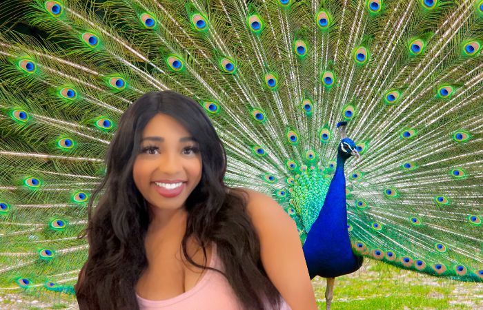 There are freely roaming peacocks in Las Vegas – Here’s where you can find them