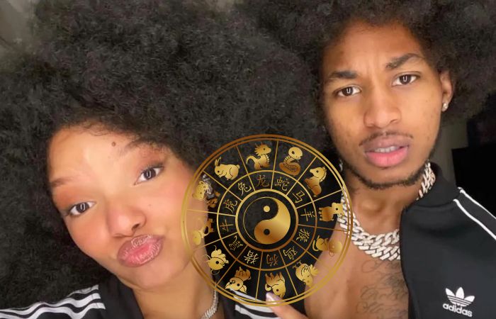 Are Halle Bailey & DDG’s zodiac signs compatible?
