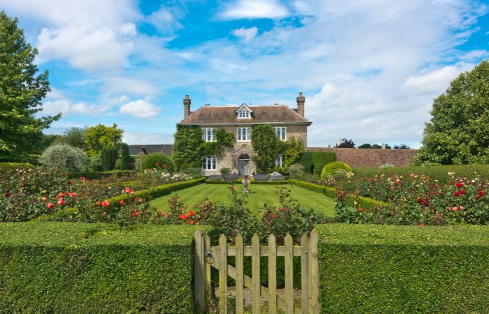 Why those “fairytale” leaves growing around your house need to be removed ASAP